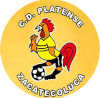 https://img.fm1961.com/img/football/team/63b0933cc303927659846a4ed54b1522.png