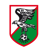 https://img.fm1961.com/img/football/team/e6a8908dd206e2ea02d9803c82c60bba.png